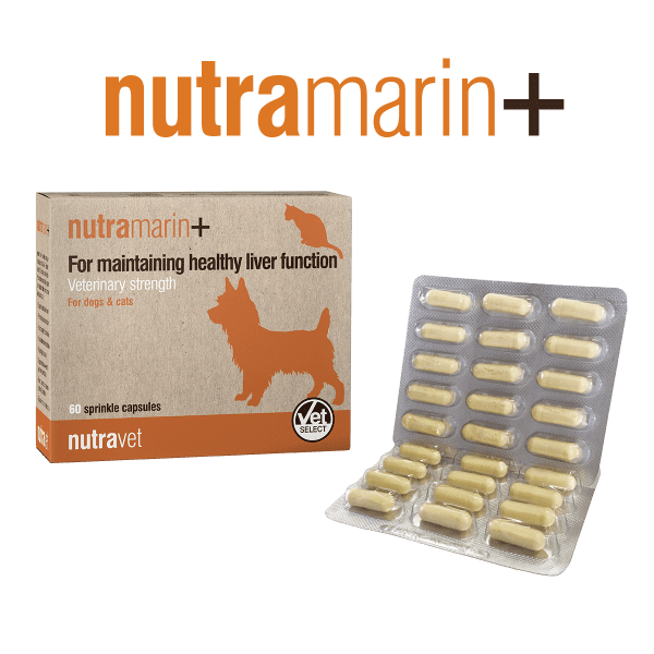 Our range - Nutravet