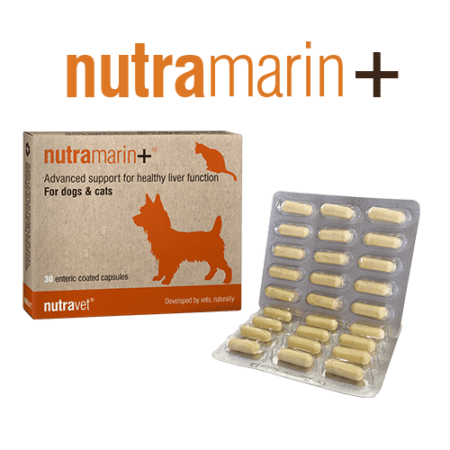 Nutravet launches Nutramarin+ – advanced liver support for pets – Nutravet