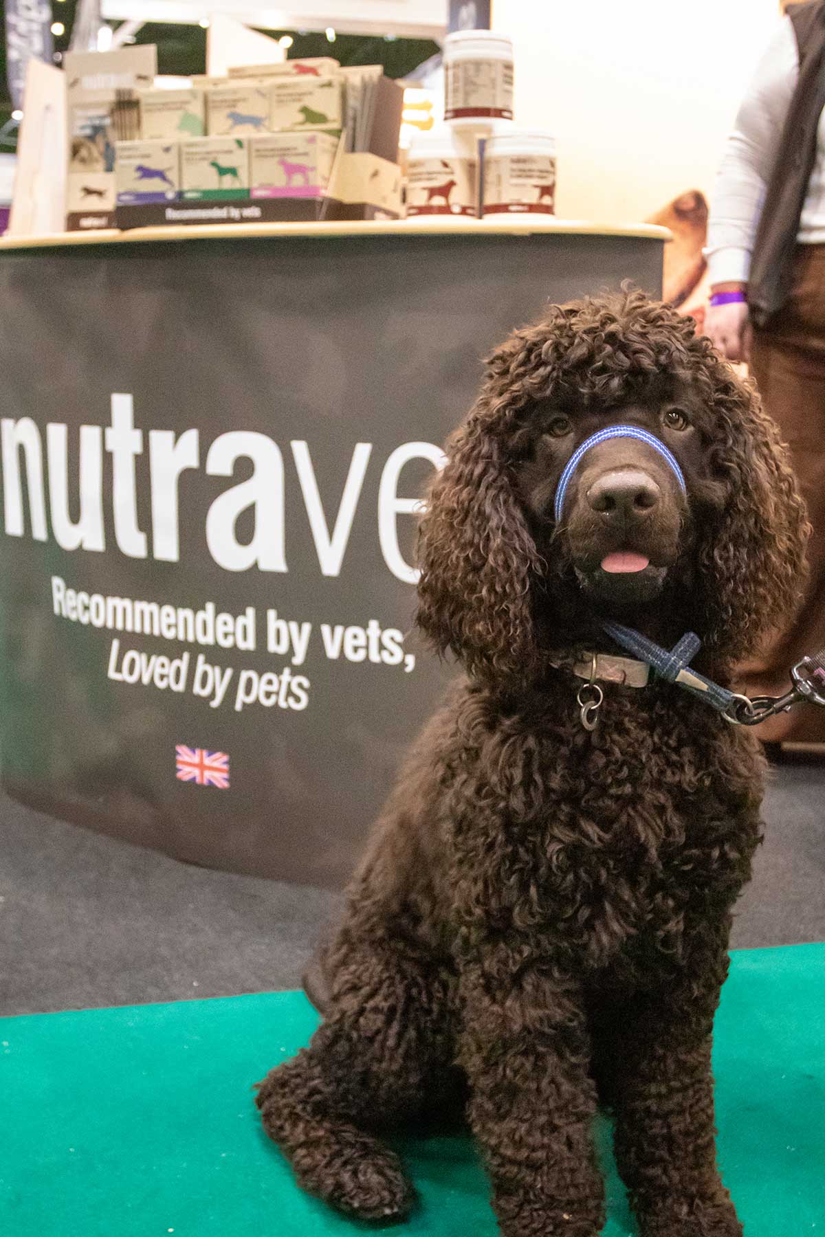 Come and see nutravet at crufts 2024 nutravet